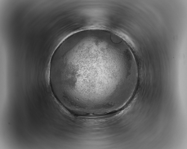 X0000096221228200801181444