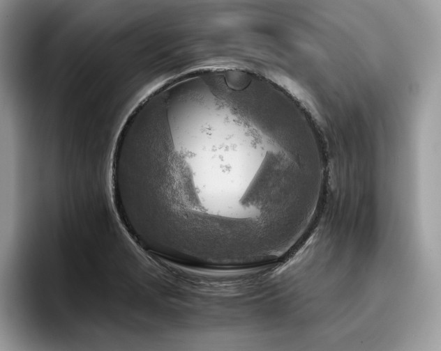 X0000096221229200801181444