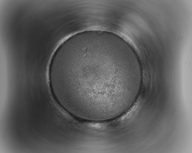 X0000096221230200801181444