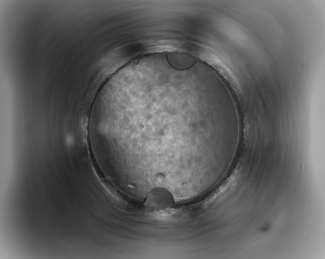 X0000096221233200801181444