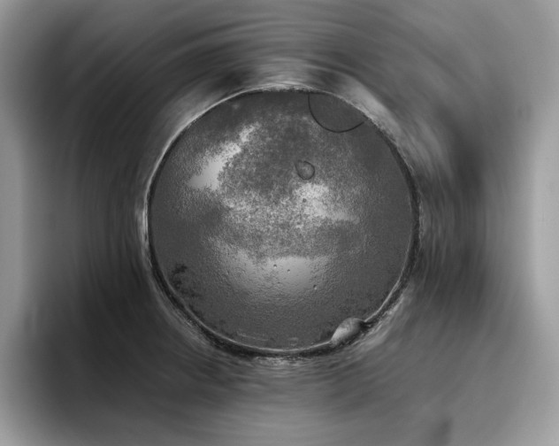 X0000096221234200801181444