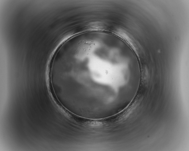 X0000096221235200801181444