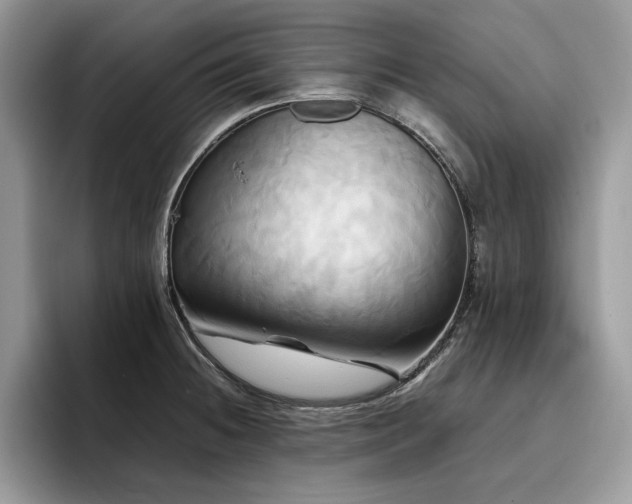 X0000096221236200801181444