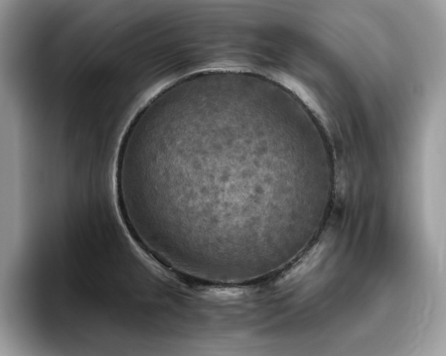 X0000096221237200801181444