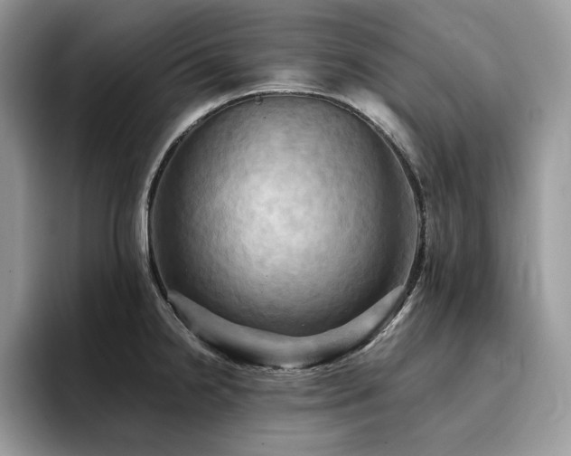 X0000096221238200801181444