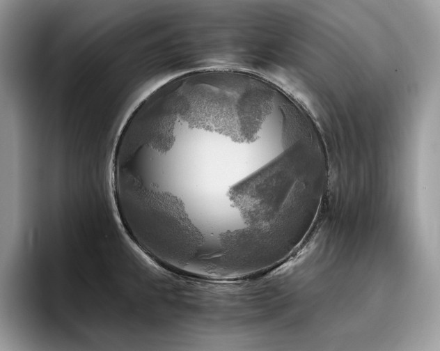 X0000096221239200801181444