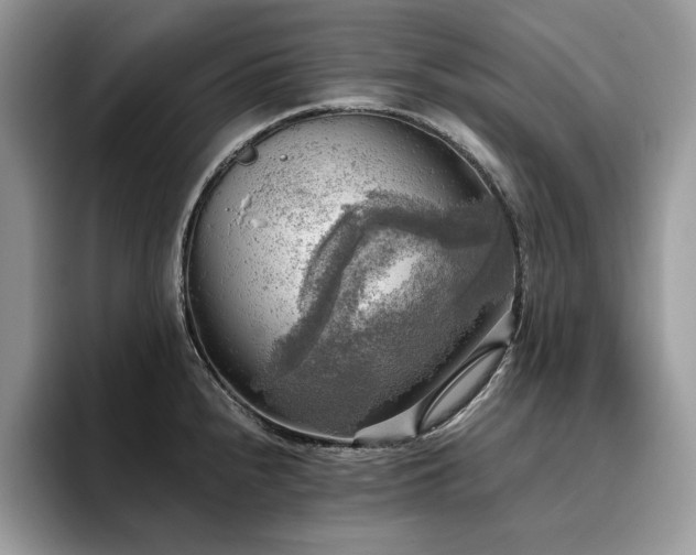 X0000096221240200801181444