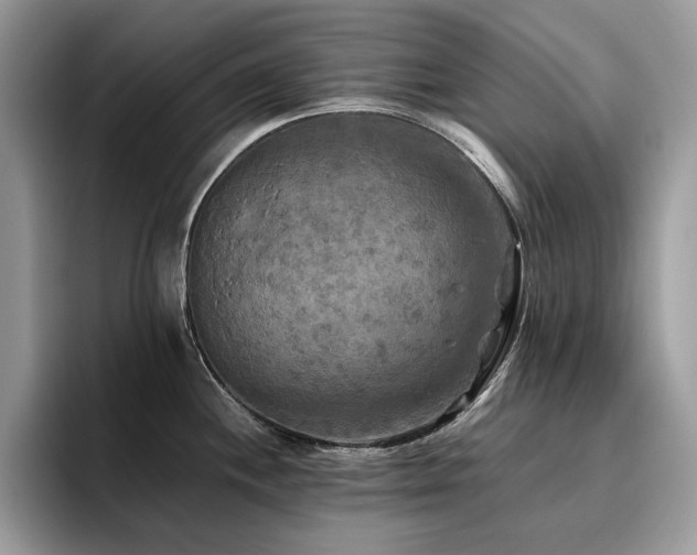 X0000096221244200801181444