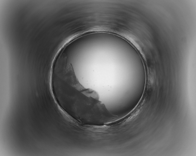 X0000096221245200801181444