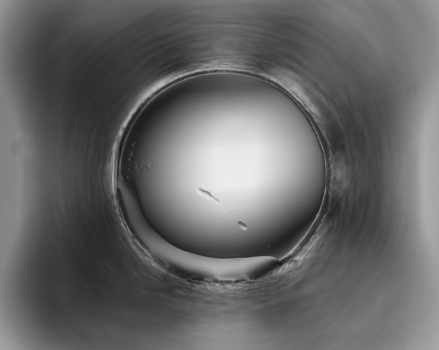X0000096221246200801181444
