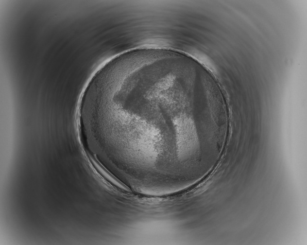 X0000096221248200801181444