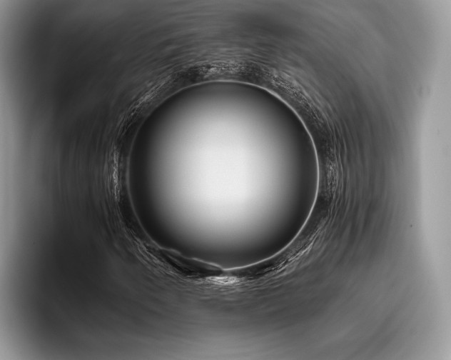 X0000096221250200801181443