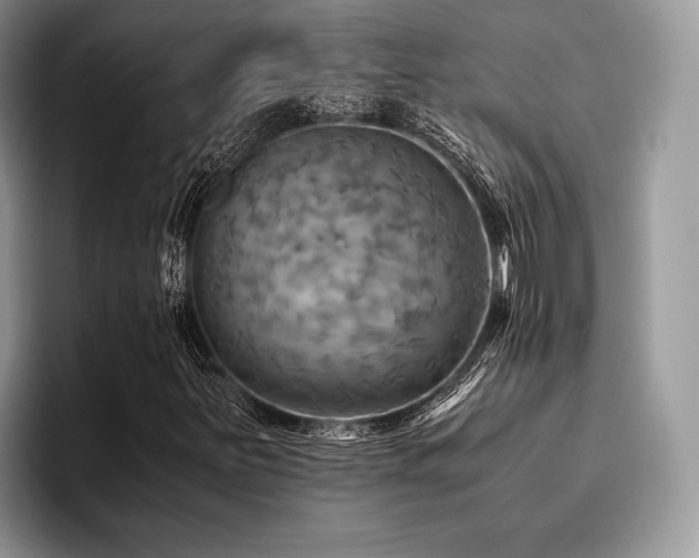 X0000096221251200801181443