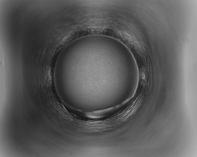 X0000096221252200801181443
