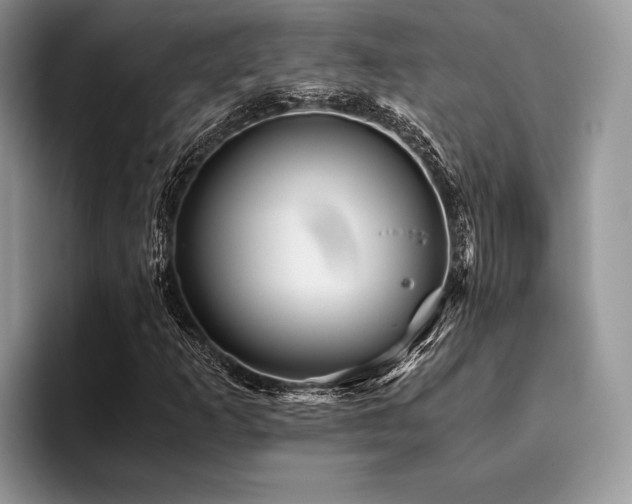 X0000096221253200801181443