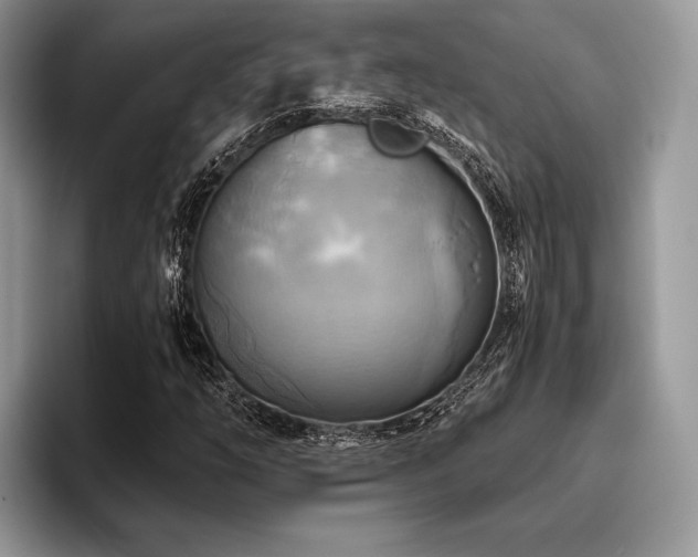 X0000096221254200801181443