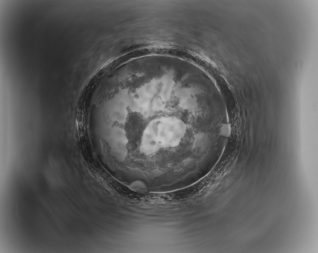X0000096221255200801181443