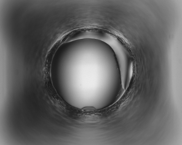 X0000096221256200801181443