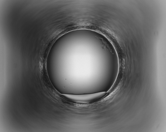 X0000096221257200801181443