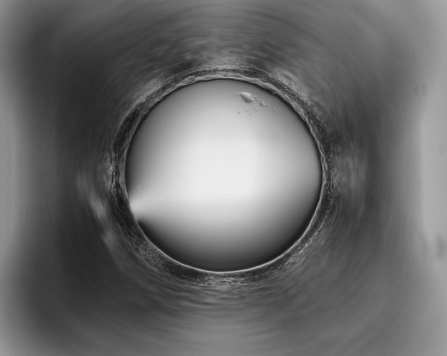 X0000096221258200801181443