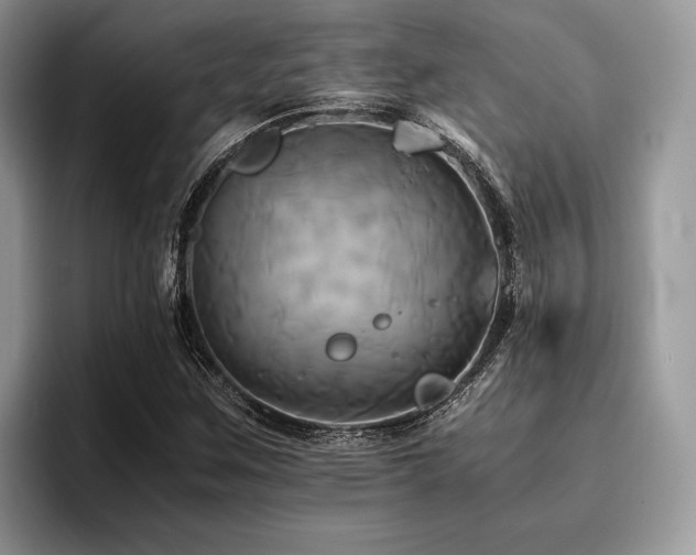 X0000096221259200801181443