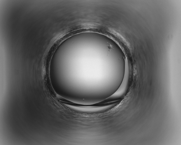 X0000096221261200801181443