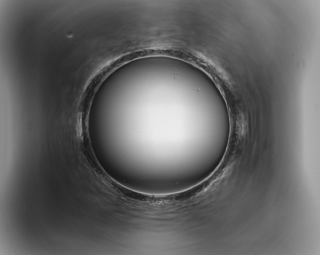 X0000096221262200801181443