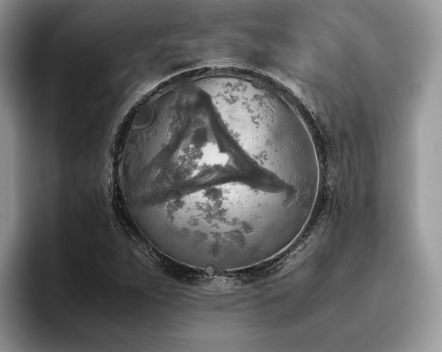 X0000096221263200801181443