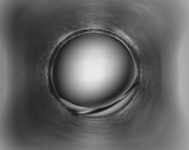 X0000096221264200801181443