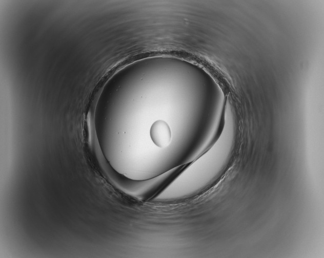 X0000096221265200801181443
