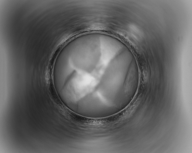 X0000096221266200801181443