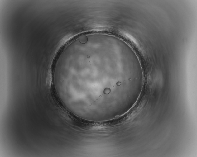 X0000096221267200801181443