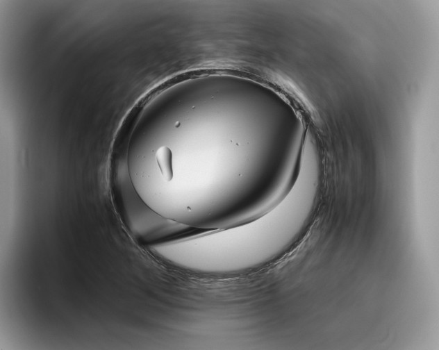 X0000096221268200801181443