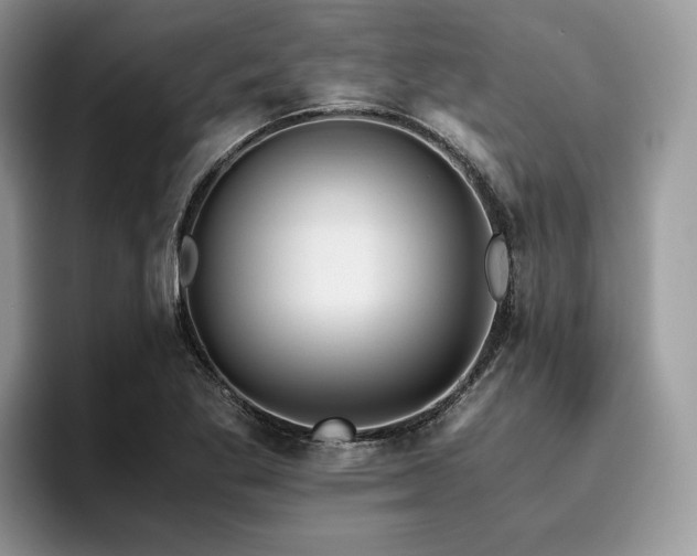 X0000096221269200801181443