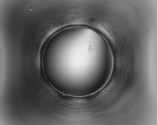 X0000096221270200801181443