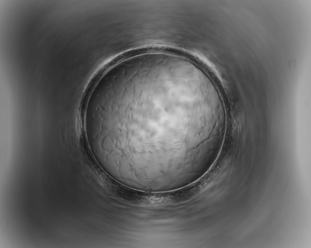 X0000096221271200801181443