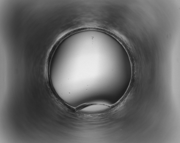 X0000096221272200801181443