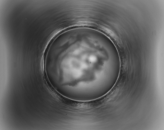 X0000096221275200801181443
