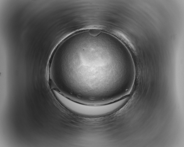 X0000096221276200801181443