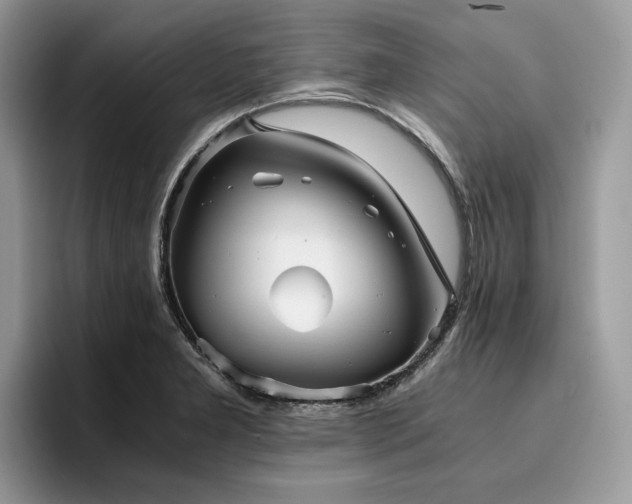 X0000096221277200801181443
