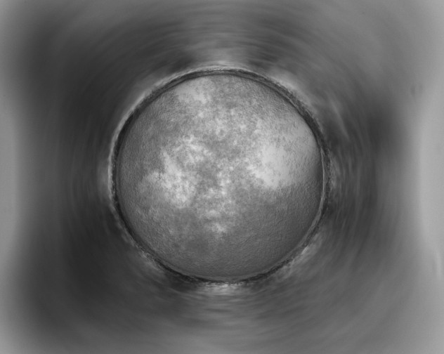 X0000096221278200801181443