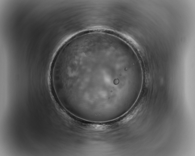 X0000096221279200801181443