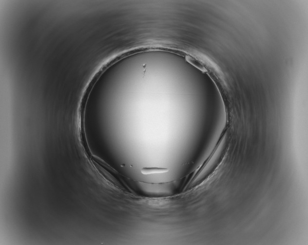 X0000096221280200801181443