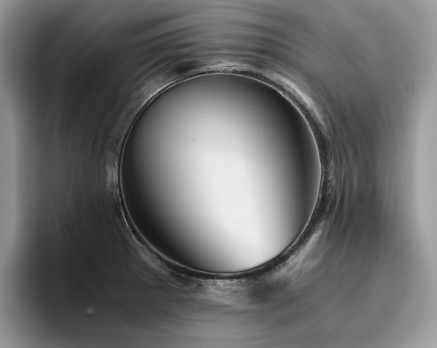 X0000096221281200801181443