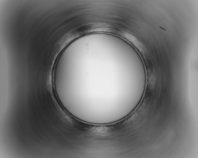 X0000096221282200801181443