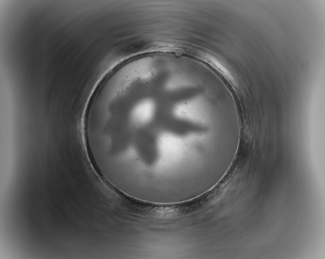 X0000096221283200801181443