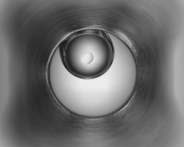 X0000096221284200801181443