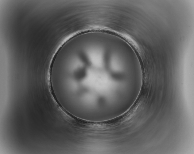 X0000096221287200801181443