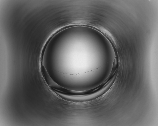 X0000096221288200801181443