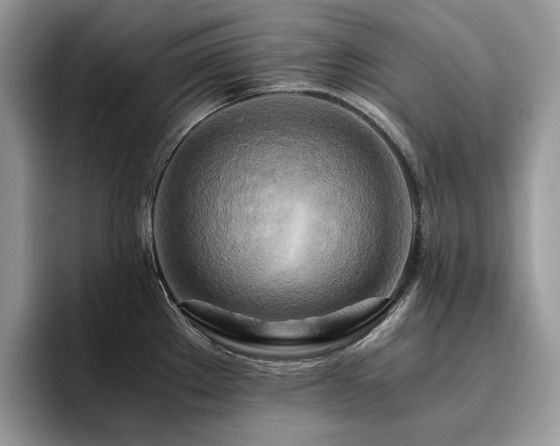 X0000096221289200801181443